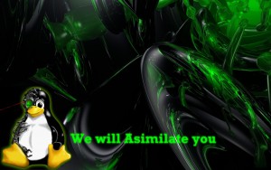 Wallpaper „assimilate you"